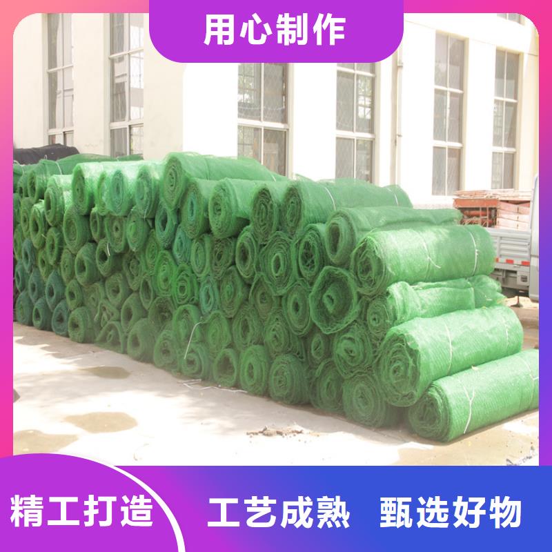 三维加筋网垫-加筋三维植被网厂家批发价