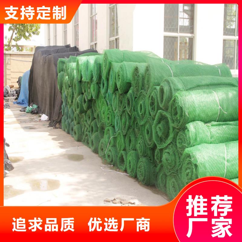 EM5三维护坡植草网垫-护坡三维植被网好货直供
