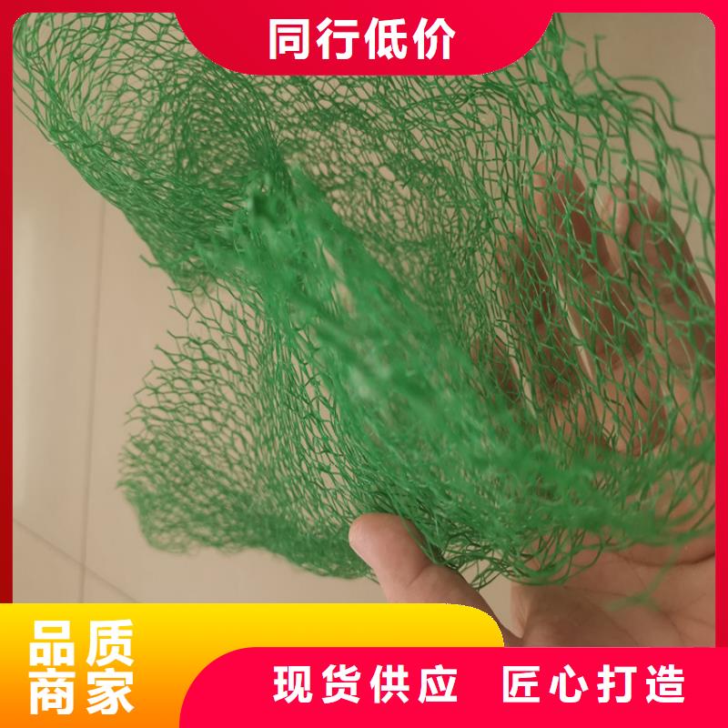 护坡EM2三维固土网垫实拍展现
