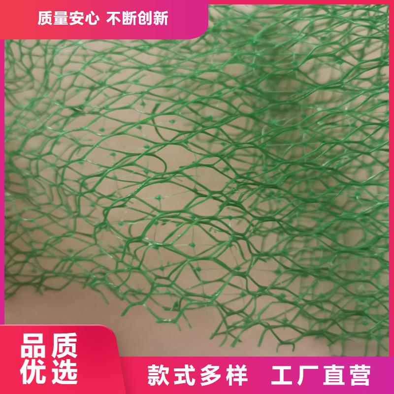 三维固土网垫当地服务商