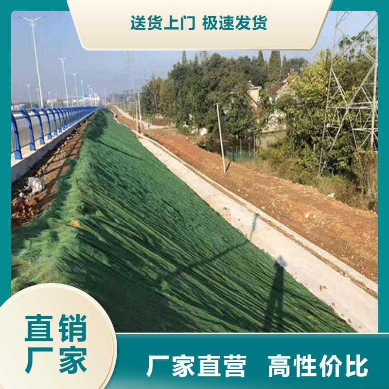 三维土工网垫-三维护坡网垫一手价格