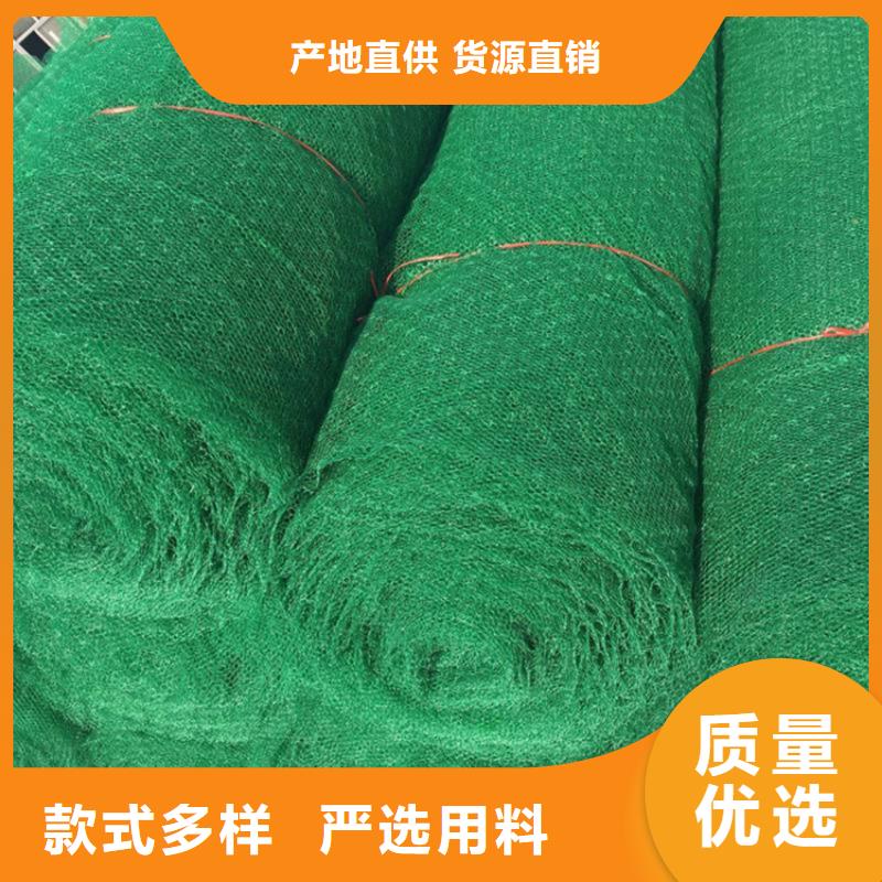 三维植被网施工新闻当地供应商
