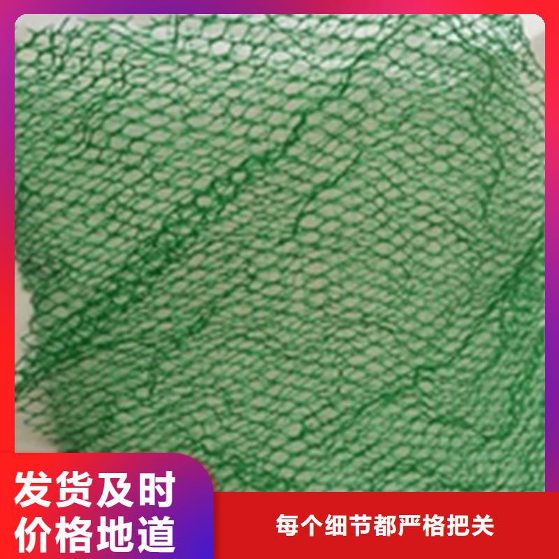 EM4三维护坡植草网垫-三维土工网同城服务商