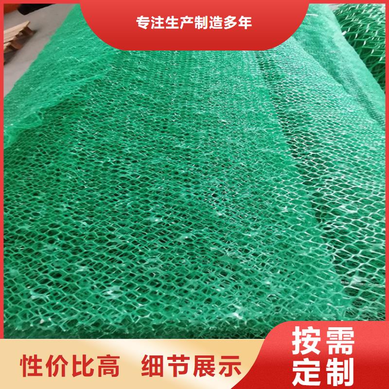 三维植被网施工详情源头工厂