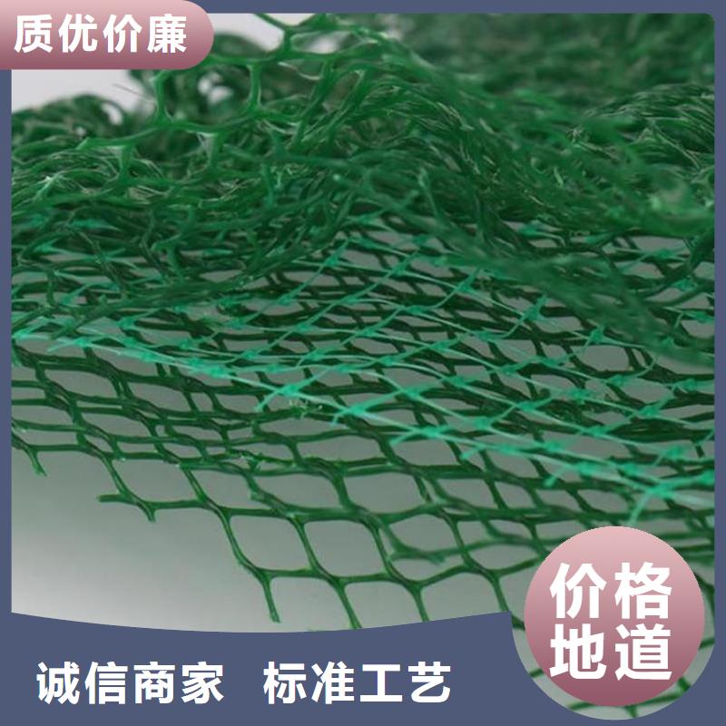 三维固土网垫三维土工网垫精挑细选好货