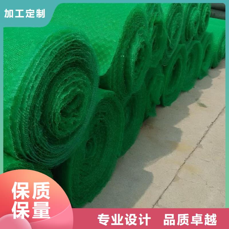 三维土工网垫-EM3三维固土网垫生产安装
