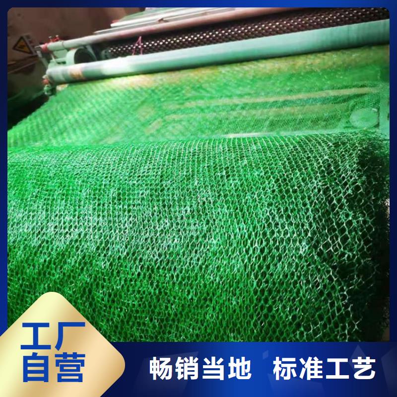EM5三维加筋网垫厂家批发应用广泛