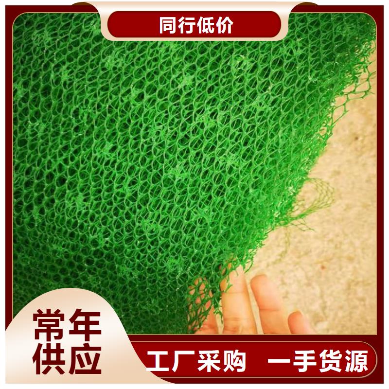 三维土工网垫-三维固土网垫优势