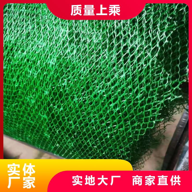 三维植草网垫环保EM3工艺精细质保长久