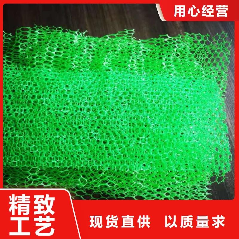 三维土工网垫施工案例经销商