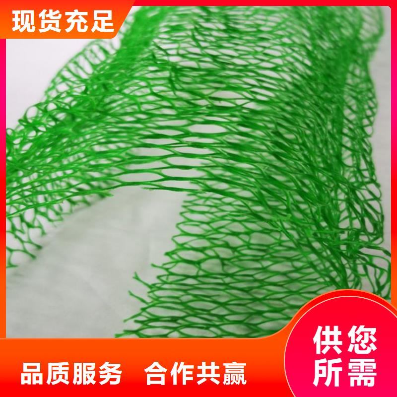 三维土工网垫-三维加筋网垫产品实拍