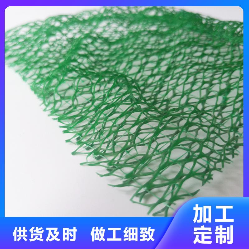 三维土工网垫-EM3三维土工网垫应用范围广泛
