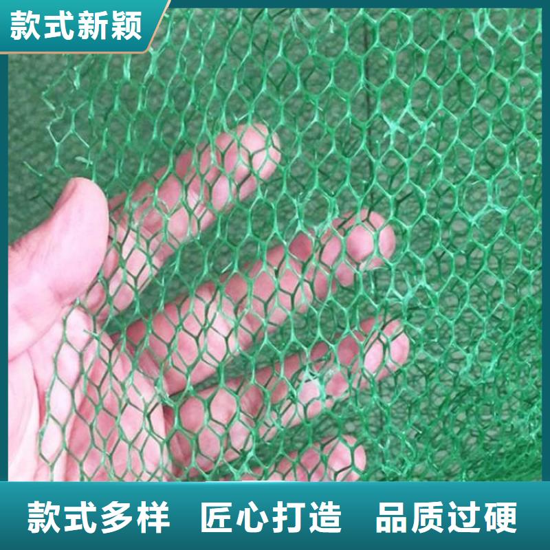 三维植被网规格结构本地生产厂家