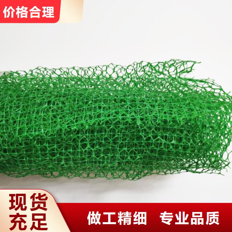 三维植被网-三维护坡植草网垫信誉有保证