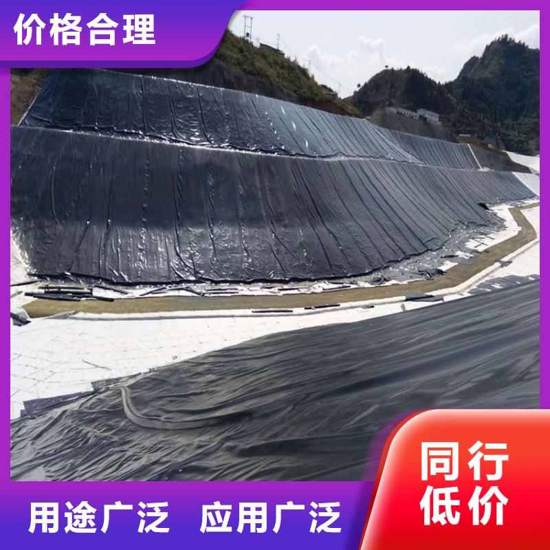 ​防渗膜-水池防渗土工膜支持大批量采购