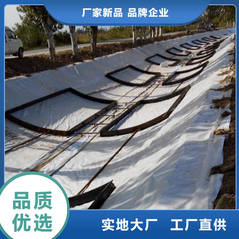 HDPE防渗膜源头厂家本地生产厂家