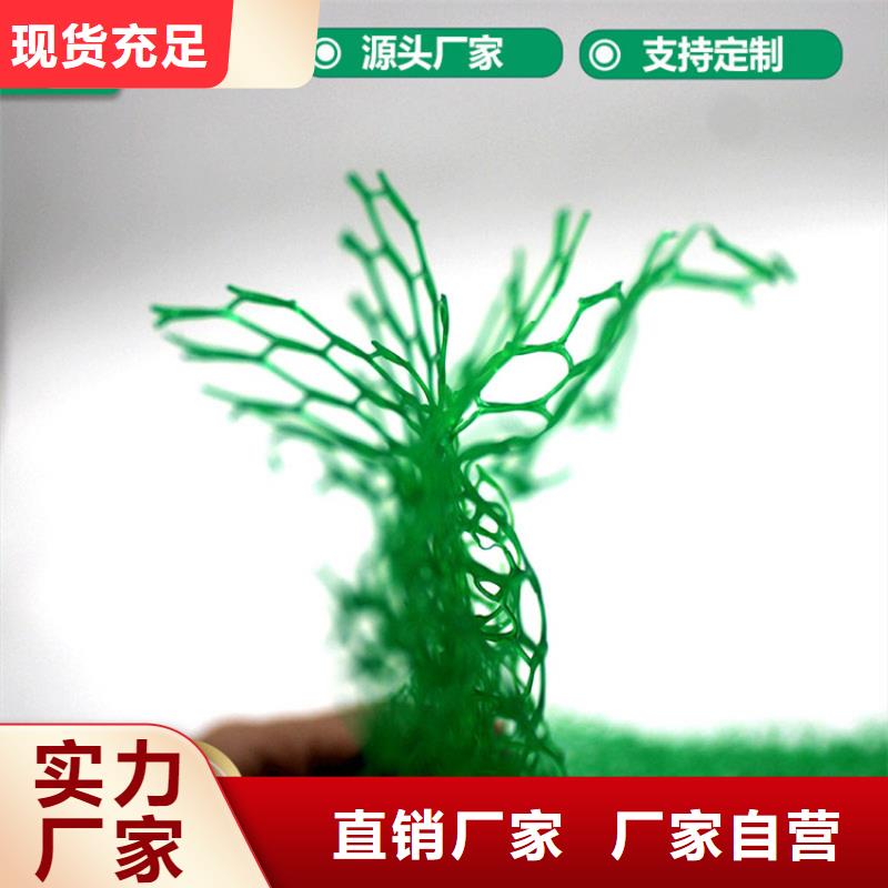 三维加筋土工网垫#EM4草皮产品实拍