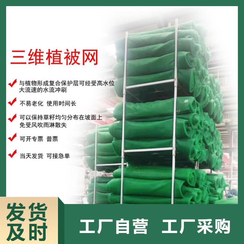 三维植草护坡网垫-EM4三维植被网直供厂家技术先进