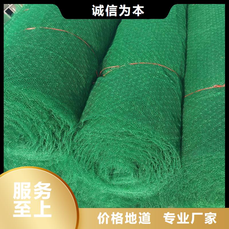 草皮EM4三维土工网垫货到付款