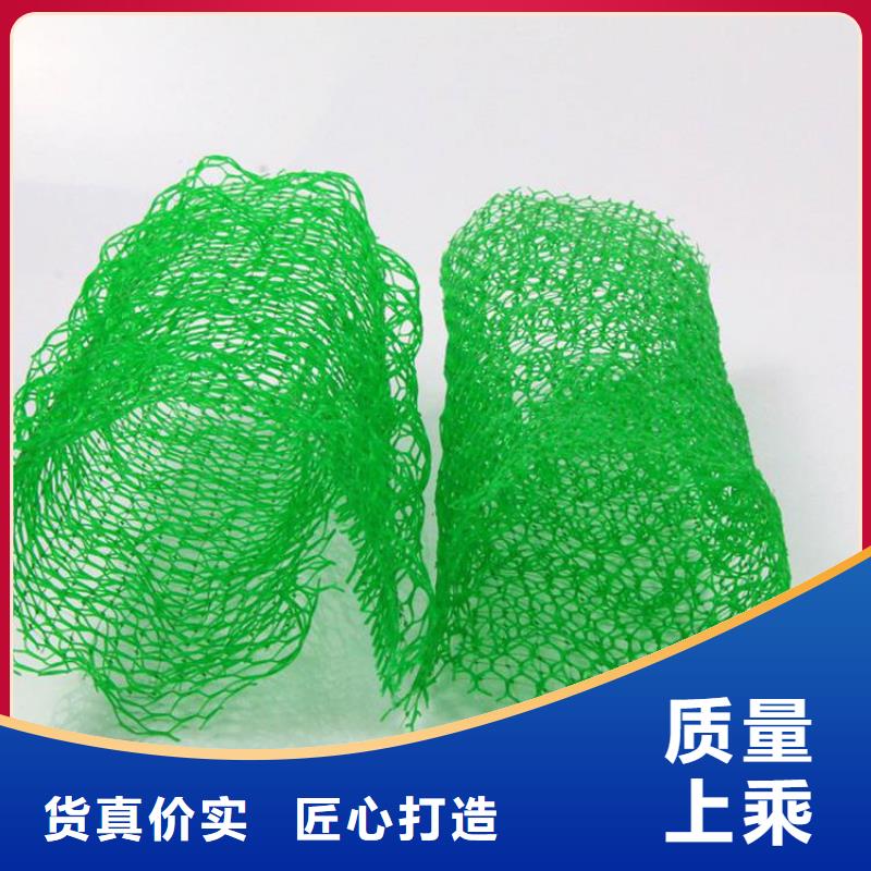 三维护坡植被网垫厂家-经销好品质用的放心