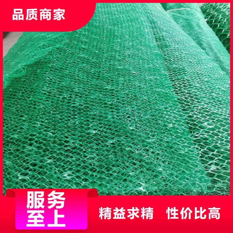 三维固土网垫#草皮EM2质量看得见