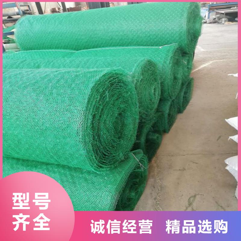 EM5环保三维护坡植被网垫规格型号全