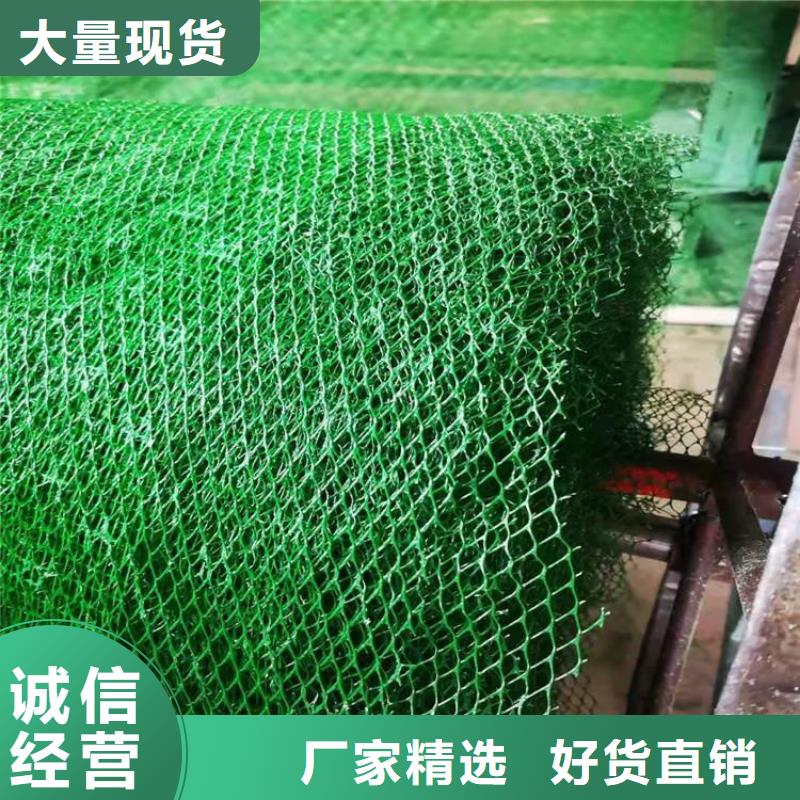 三维护坡加筋网垫#EM2边坡优选货源