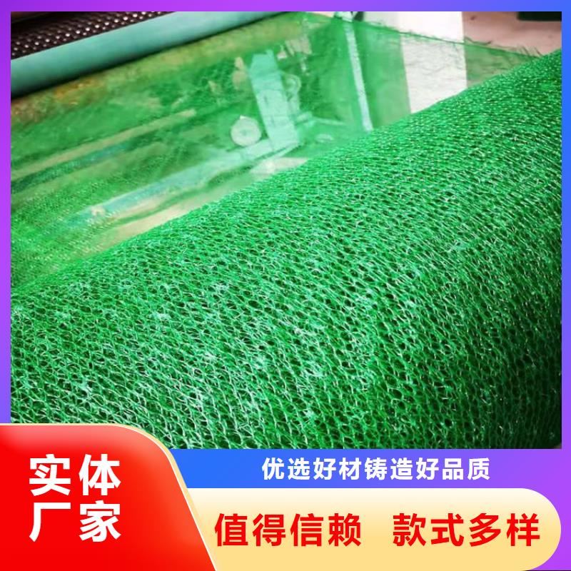 三维土工网垫优选好材铸造好品质
