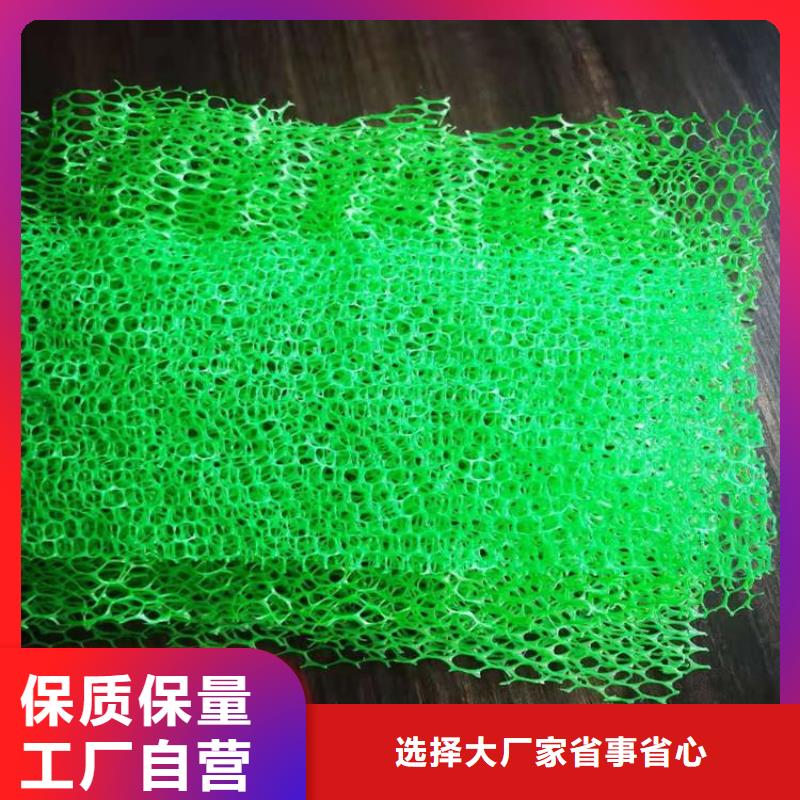 EM5草皮三维护坡植被网垫本地生产厂家