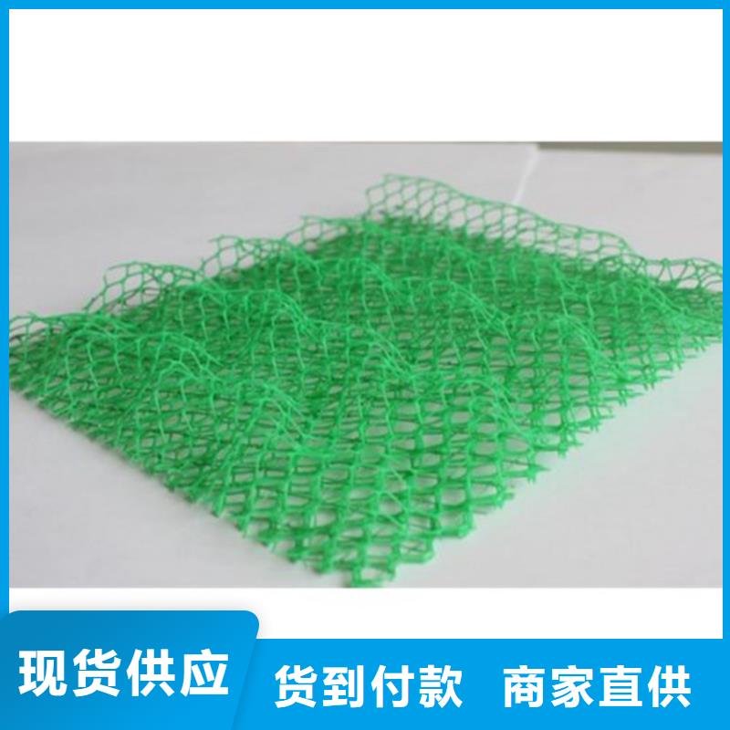 三维固土网垫-三维土工网垫本地公司
