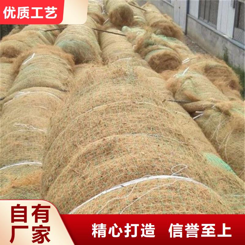 抗冲加筋生态毯-生态椰丝毯同城厂家