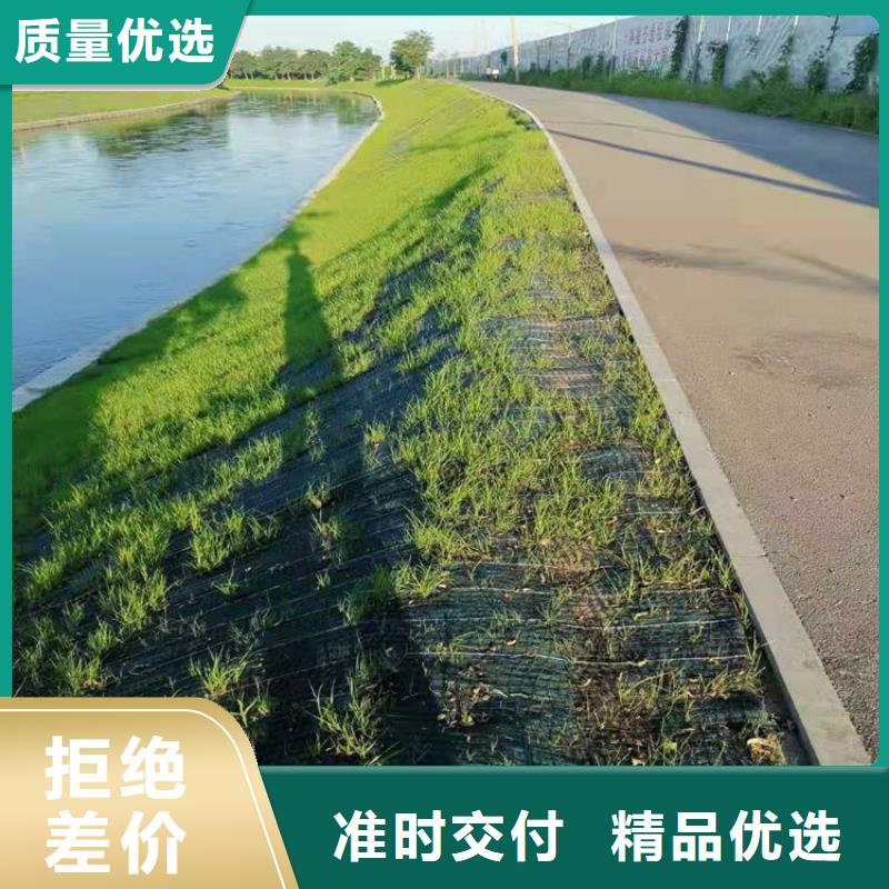 椰纤植生毯-护坡植被植草毯-防冲毯本地生产厂家
