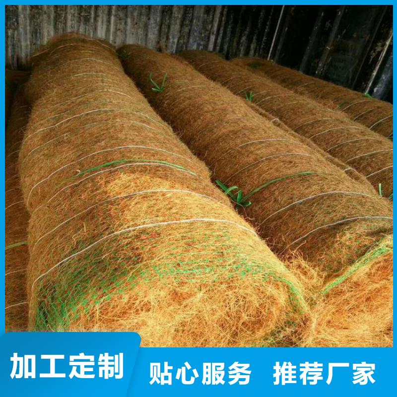 加筋抗冲生态毯施工新闻本地公司