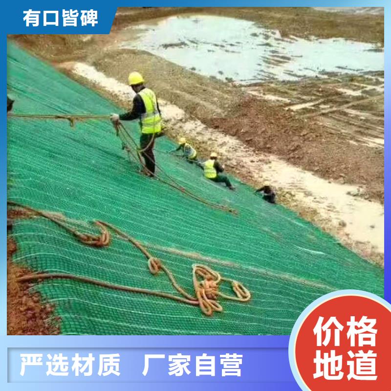 植物生态防护毯-加筋抗冲生态毯-环保植物毯经验丰富品质可靠