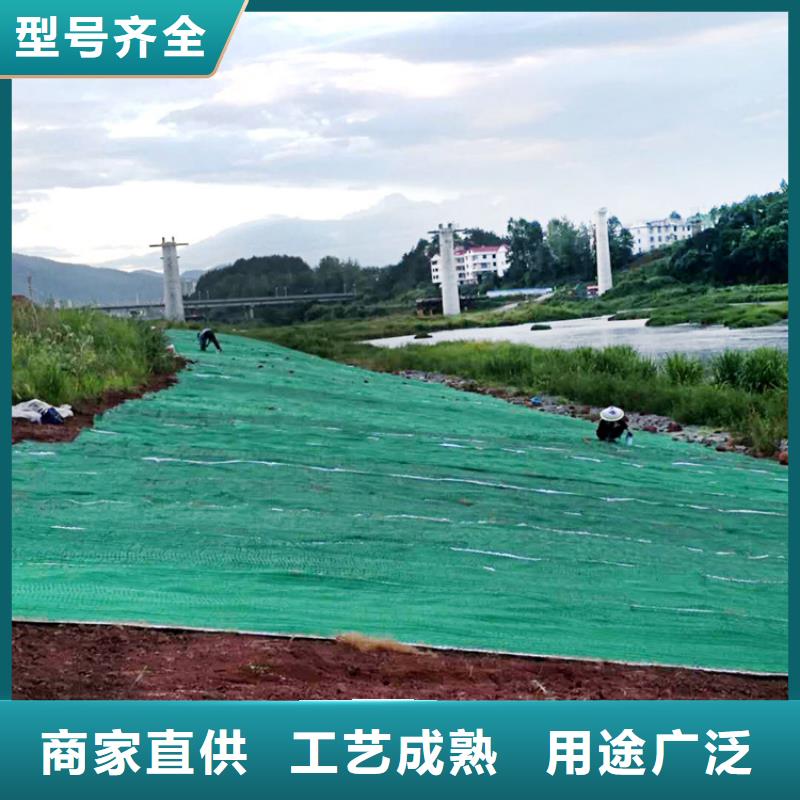 植生椰丝毯-生态环保草毯真正的源头厂家