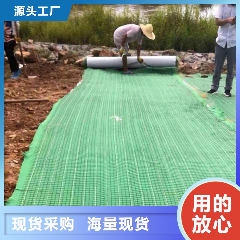 植生椰丝毯-护坡植被植草毯-带草籽环保草毯一个起售