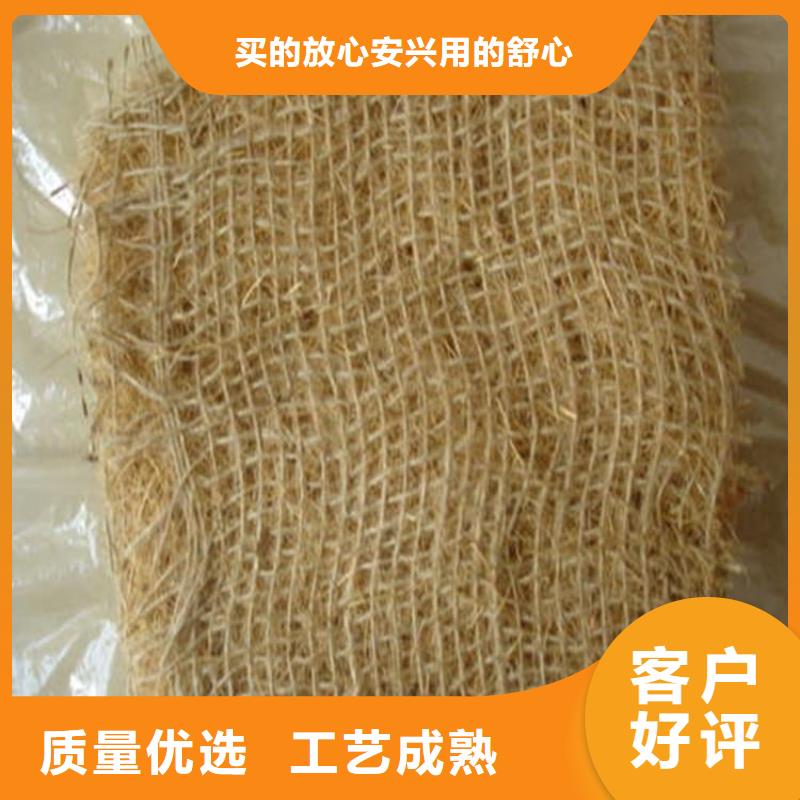 植生椰丝毯-椰纤植生毯欢迎来电咨询