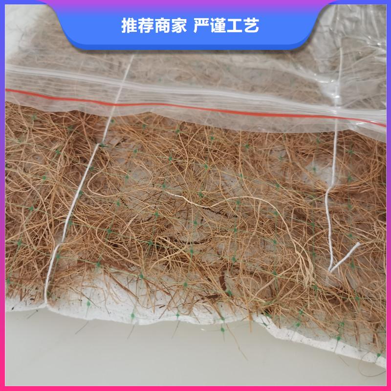 椰棕植生毯纤维椰垫本地厂家