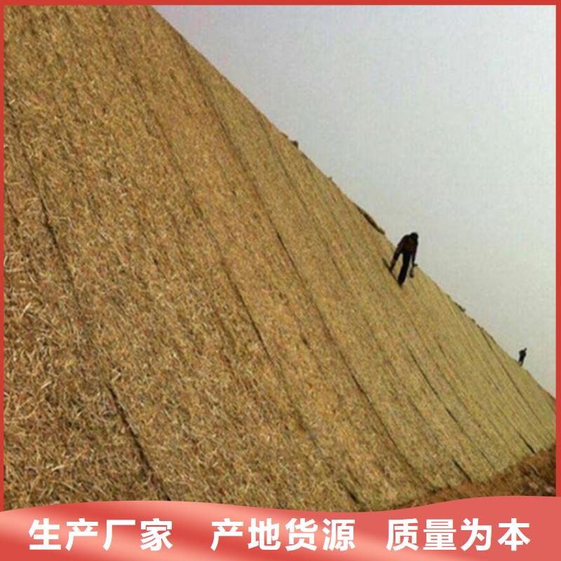 椰纤植生毯-生态草毯-加筋复合椰丝毯同城厂家