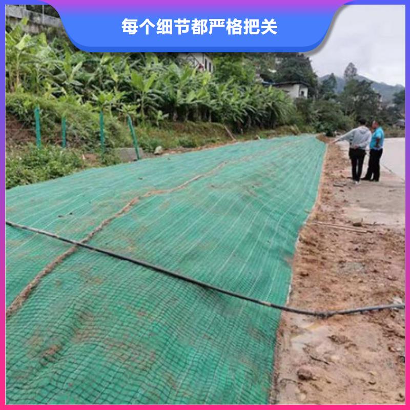 植生椰丝毯-加筋抗冲生物毯货到付款