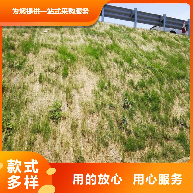 植物生态防护毯-护坡植被植草毯-护坡绿化椰丝毯甄选好厂家