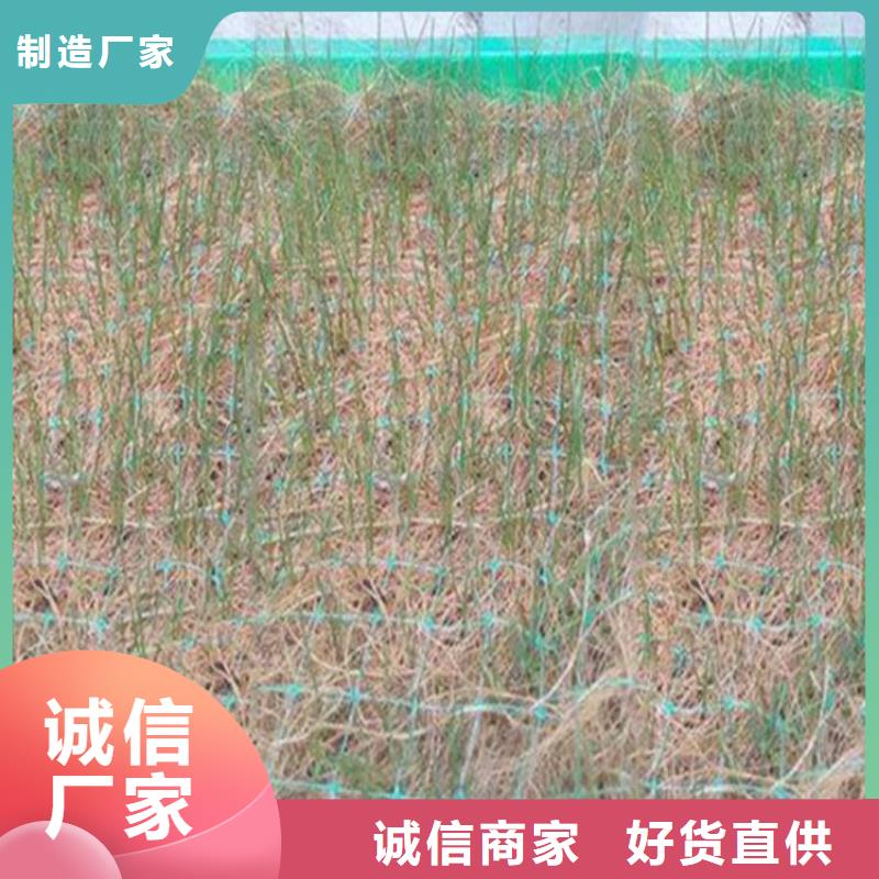 植生椰丝毯-椰纤植生毯支持定制贴心售后