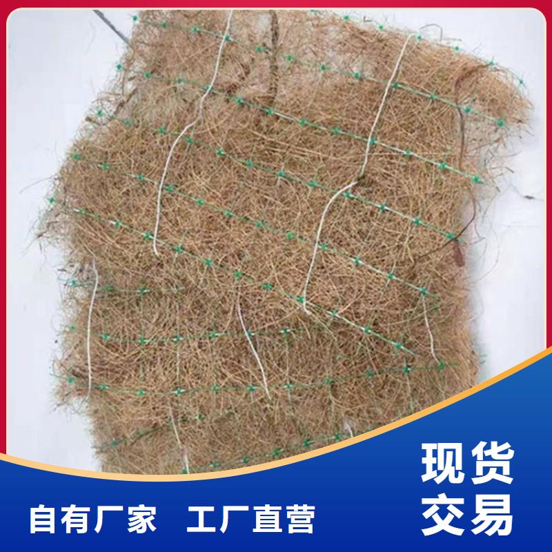 植生椰丝毯-加筋抗冲生态毯本地厂家