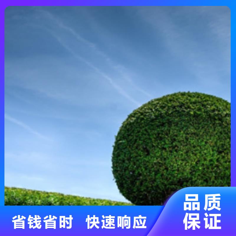 做工程造价-预算团队当地货源