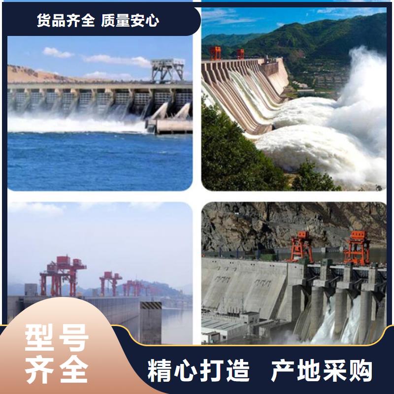 川汇区雨水污水泵站闸门畅销当地