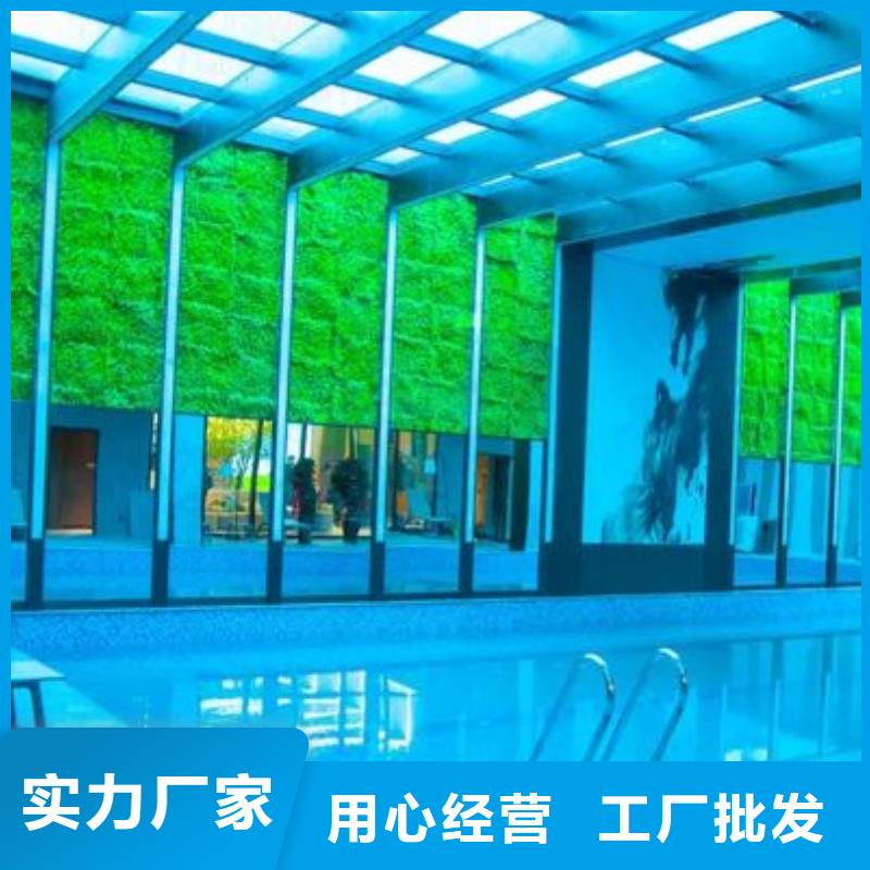 
半标泳池循环再生介质滤缸匠心品质