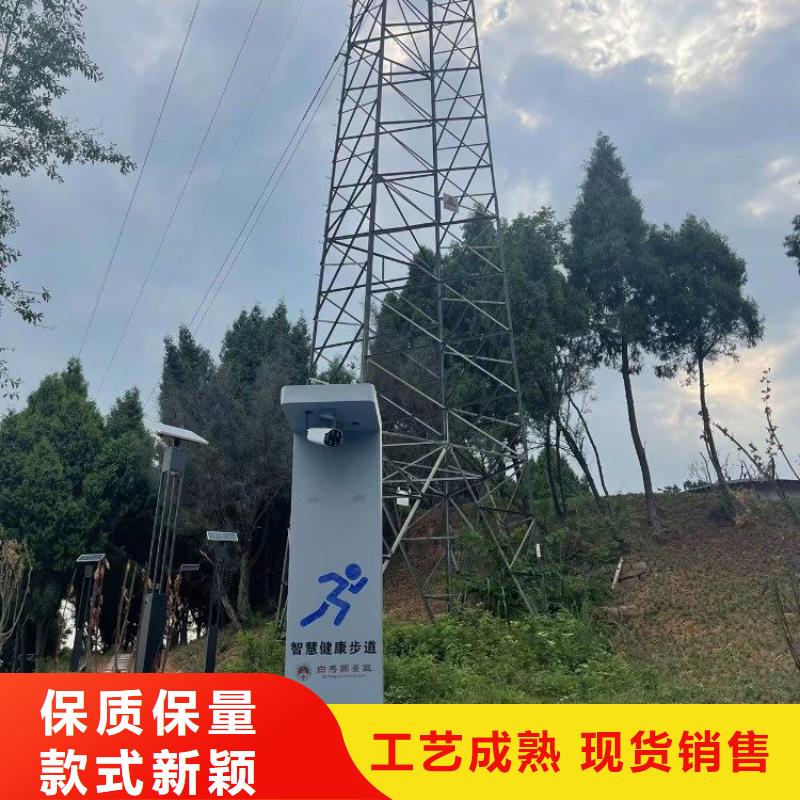 智慧公园导览设计方案（维艾狄尔）批发货源