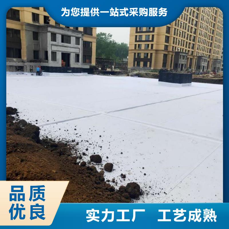 凹凸型排蓄水板@供应批发当地品牌