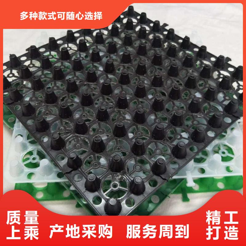 凹凸型排水板-价格够低经验丰富品质可靠