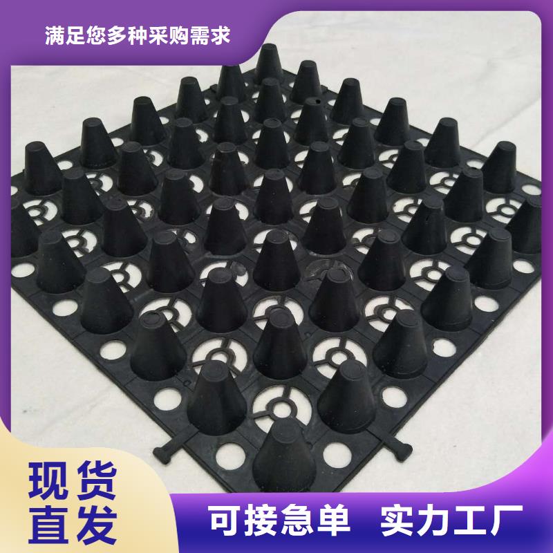 塑料透水疏水板-现货批发源头实体厂商